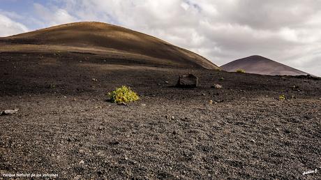 PARQUE NATURAL DE LOS VOLCANES. LANZAROTE