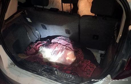 Caza furtiva en la zona de Carrán Curá Caza furtiva en la zona de Carrán Curá