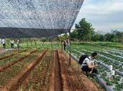 proyectos innovación Universidad Loyola obtienen financiación Agencia Española Cooperación Internacional Desarrollo