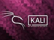 Kali Linux 2022.3 adapta estándares VirtualBox facilita entornos pruebas
