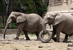 Larreta en Ecoparque para cerrar vacaciones