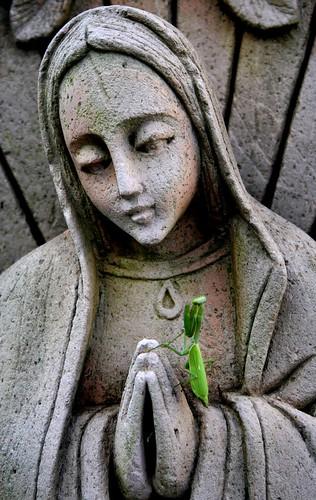 Mantis - Mantis (2013) Mantis - Mantis (2013)