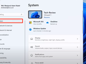 Cómo limpiar cachés Windows