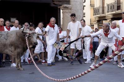 Maltrato animal, en España, en casi 17.000 fiestas al año.