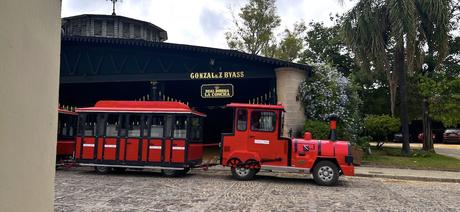 Bodegas Tío Pepe, viaje al corazón de González Byass