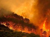 ¿Los incendios apagan invierno?: abandono monte aceleró fuegos