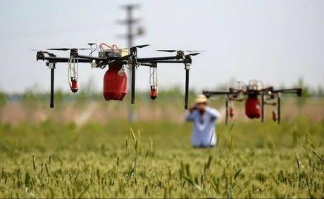 El uso de drones se está extendiendo en la agricultura