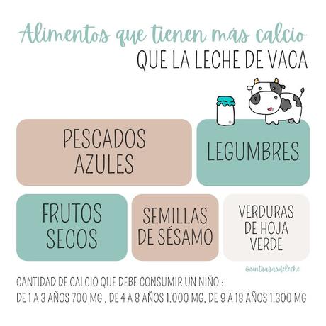 Alimentos que tienen más calcio que la leche de vaca