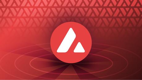 Preguntas Frecuentes sobre Avalanche