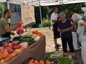 feria ‘Apostando Bierzo, Naturalmente’ deja buen sabor boca Quintana Fuseros