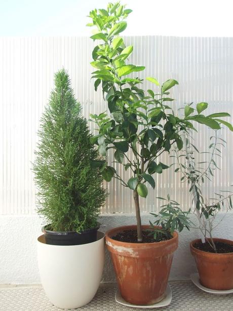 COMO DECORAR Y SACAR PARTIDO A UN BALCON PEQUEÑO