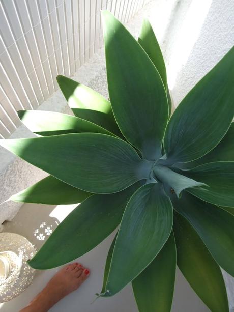 COMO DECORAR Y SACAR PARTIDO A UN BALCON PEQUEÑO