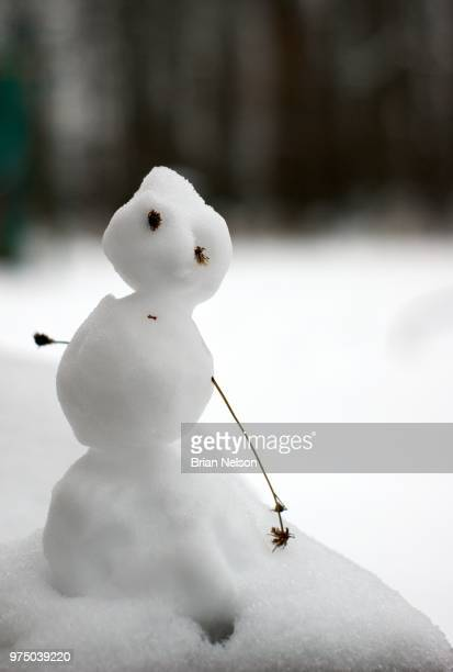 Fábula: El muñeco de nieve
