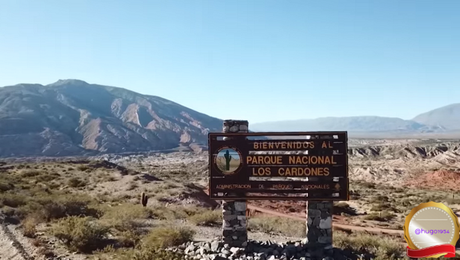 Un viaje virtual por los parques nacionales de Argentina: Los Cardones