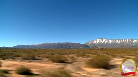 Un viaje virtual por los parques nacionales de Argentina: Los Cardones