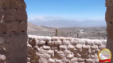 Un viaje virtual por los parques nacionales de Argentina: Los Cardones