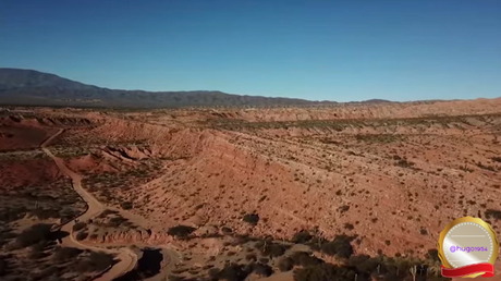 Un viaje virtual por los parques nacionales de Argentina: Los Cardones