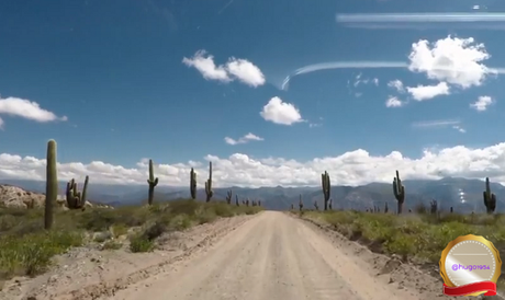Un viaje virtual por los parques nacionales de Argentina: Los Cardones