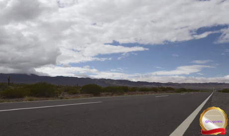 Un viaje virtual por los parques nacionales de Argentina: Los Cardones