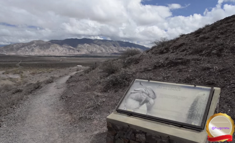 Un viaje virtual por los parques nacionales de Argentina: Los Cardones
