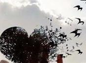 5.187 golondrinas...