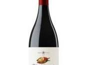 Ribera Naranjos 2019