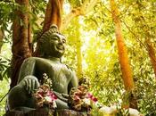 práctica regresa naturaleza