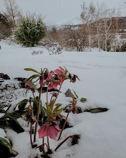 Patagonia en invierno: unos días entre nieve y montañas