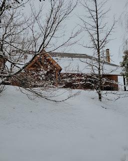 Patagonia en invierno: unos días entre nieve y montañas