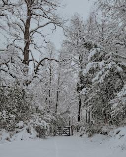 Patagonia en invierno: unos días entre nieve y montañas