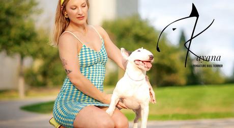 Kayana Miniature Bull Terrier, vinculados a la raza desde 2016