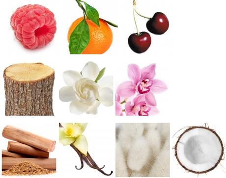 El Perfume del Mes – “Pétalos de Malvavisco” de PERFUMARTE