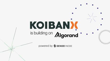 Koibanx creará un low-code para desarrolladores de blockchain Koibanx creará