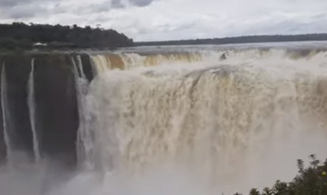 Memorias de Viaje #1: La Fauna y Flora en las Cataratas del Iguazú.