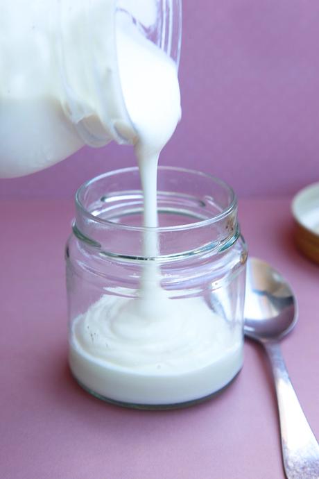 YOGUR CASERO DE LECHE DE CABRA CON KEFIR