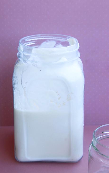 YOGUR CASERO DE LECHE DE CABRA CON KEFIR