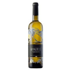 Amadeus Finca San Cibrao 2021