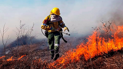 Incendios: Todo Fuego es Político Incendios: Todo Fuego es Político