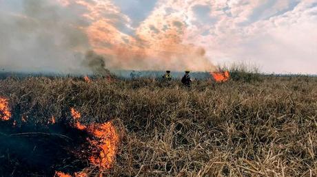 Incendios: Todo Fuego es Político Incendios: Todo Fuego es Político