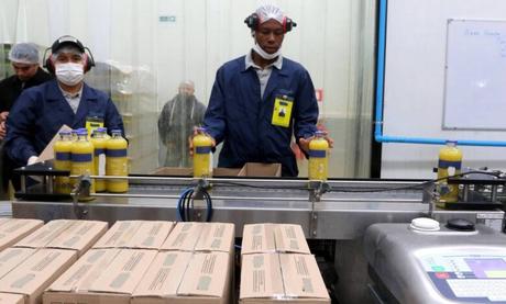 ¿En qué consiste la reforma de la ley de Extranjería?