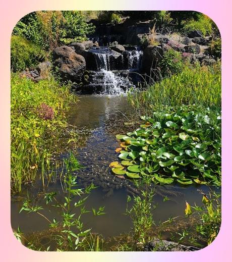 Oregon Garden en Silverton