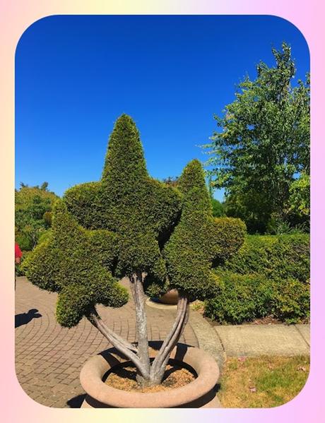 Oregon Garden en Silverton