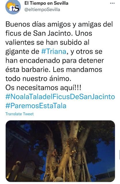 Estado-cloaca, estado neofranquista.