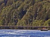 Beasts Bourbon can´t