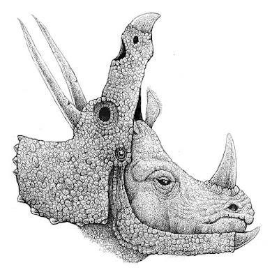 Las surrealistas criaturas extintas de Tim Andraka Las surrealistas criaturas extintas de Tim Andraka