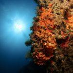 Celebrando la inmersión 400