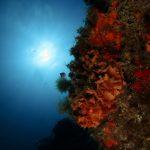 Celebrando la inmersión 400