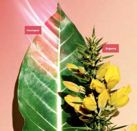 Nuevas Fórmulas de Clarins para Combatir los Signos de la Edad Provocados por la Menopausia Nuevas Fórmulas de Clarins para Combatir los Signos de la Edad Provocados por la Menopausia