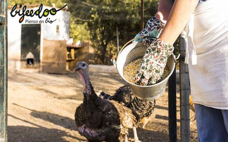 Bifeedoo explica cómo tener siempre pienso a punto gracias al «Programa Premiuum»