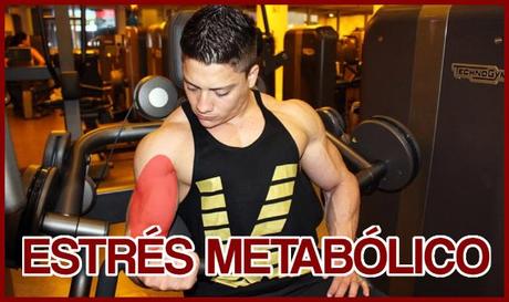 mecanismos para la hipertrofia - estres metabolico